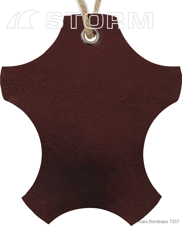 Bordeaux 7337