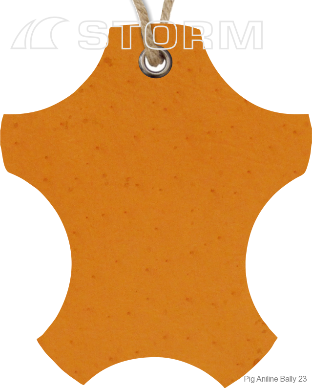 Pig Aniline Bally 23