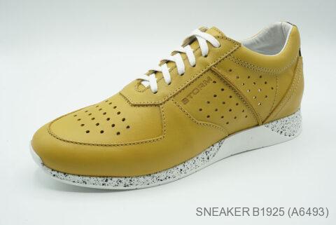 Style B1925 (A6493)