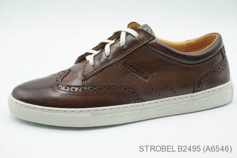 Style B2495 (A6546)