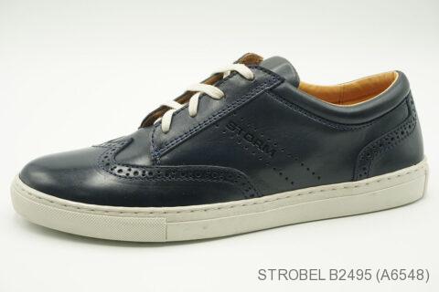 Style B2495 (A6548)