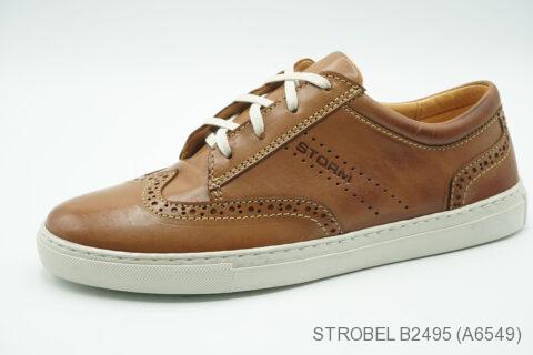 Style B2495 (A6549)