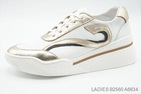 Style B2560 (A6634)