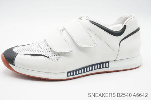 Style B2540 (A6642)