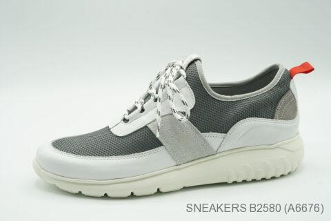 Style B2580 (A6676)