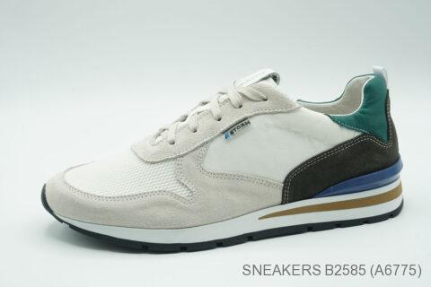 Style B2585 (A6775)
