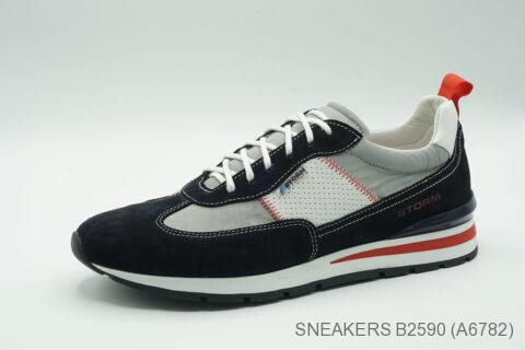 Style B2590 (A6782)