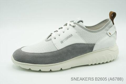 Style B2605 (A6788)