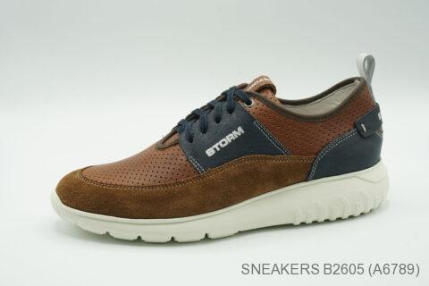 Style B2605 (A6789)